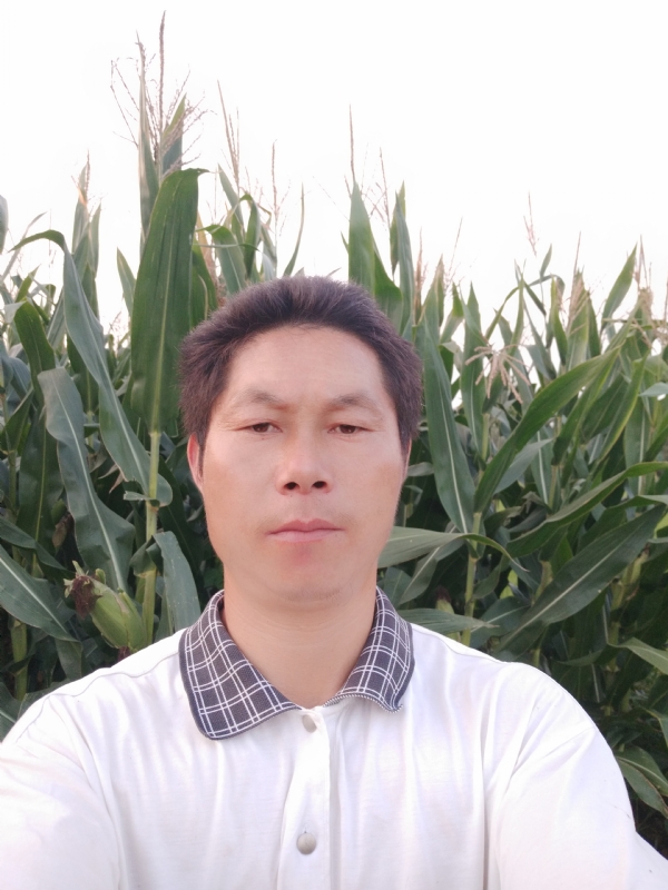四海游龙的第二张照片--南通相亲服务中心