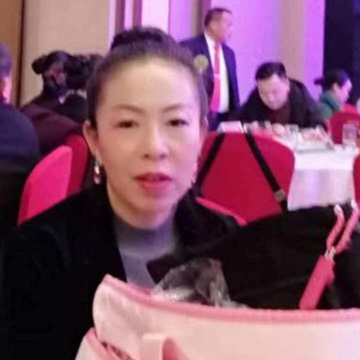 中秋桂花玉兔的第四张照片--南通相亲服务中心